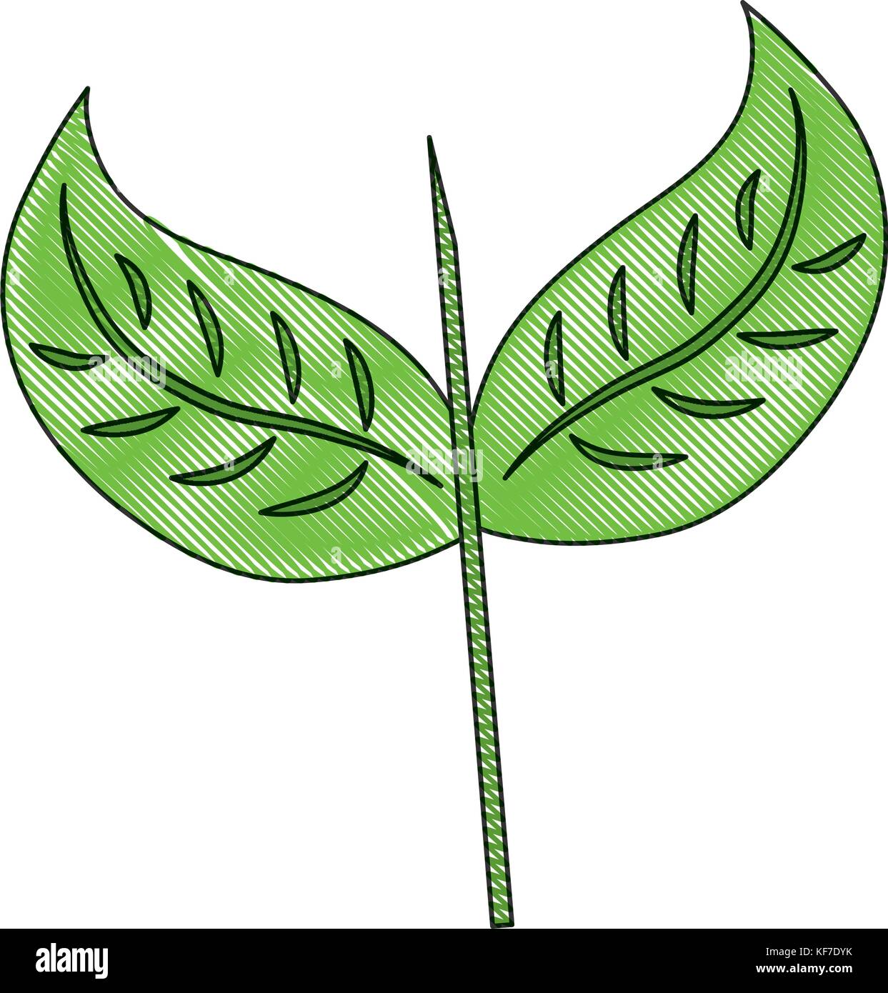 leaves icon over white background vector illustration Stock Vector ...