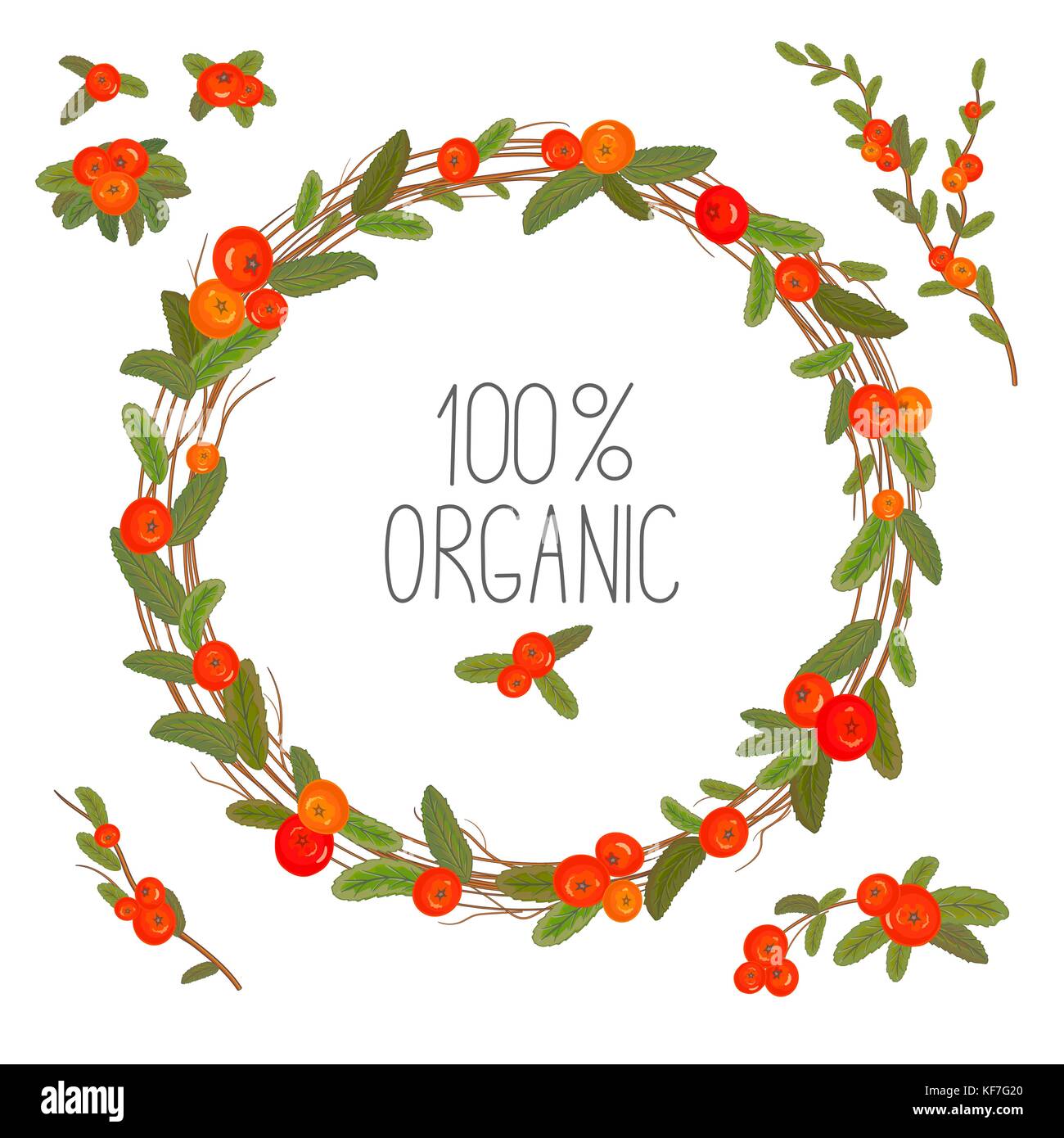 Hand drawn wreath with red berries and branches. Round frame for ...