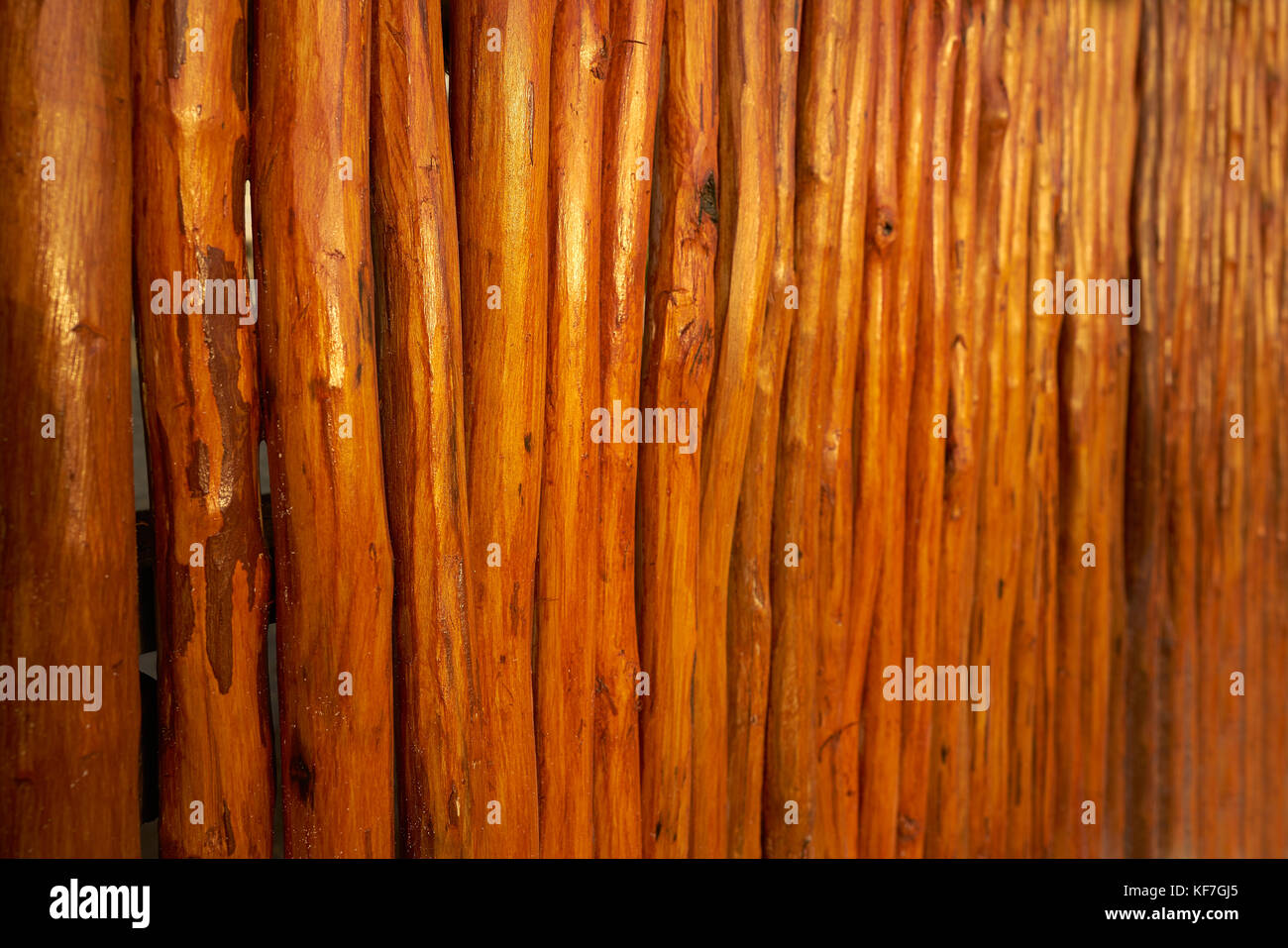 wood sticks in a row texture from Mexico fence wall Stock Photo