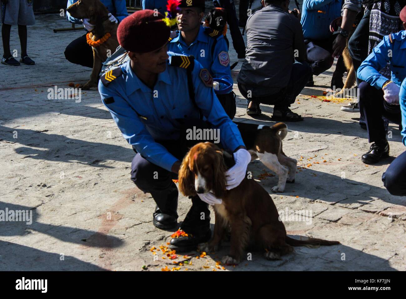 Kathmandu dog jacket top