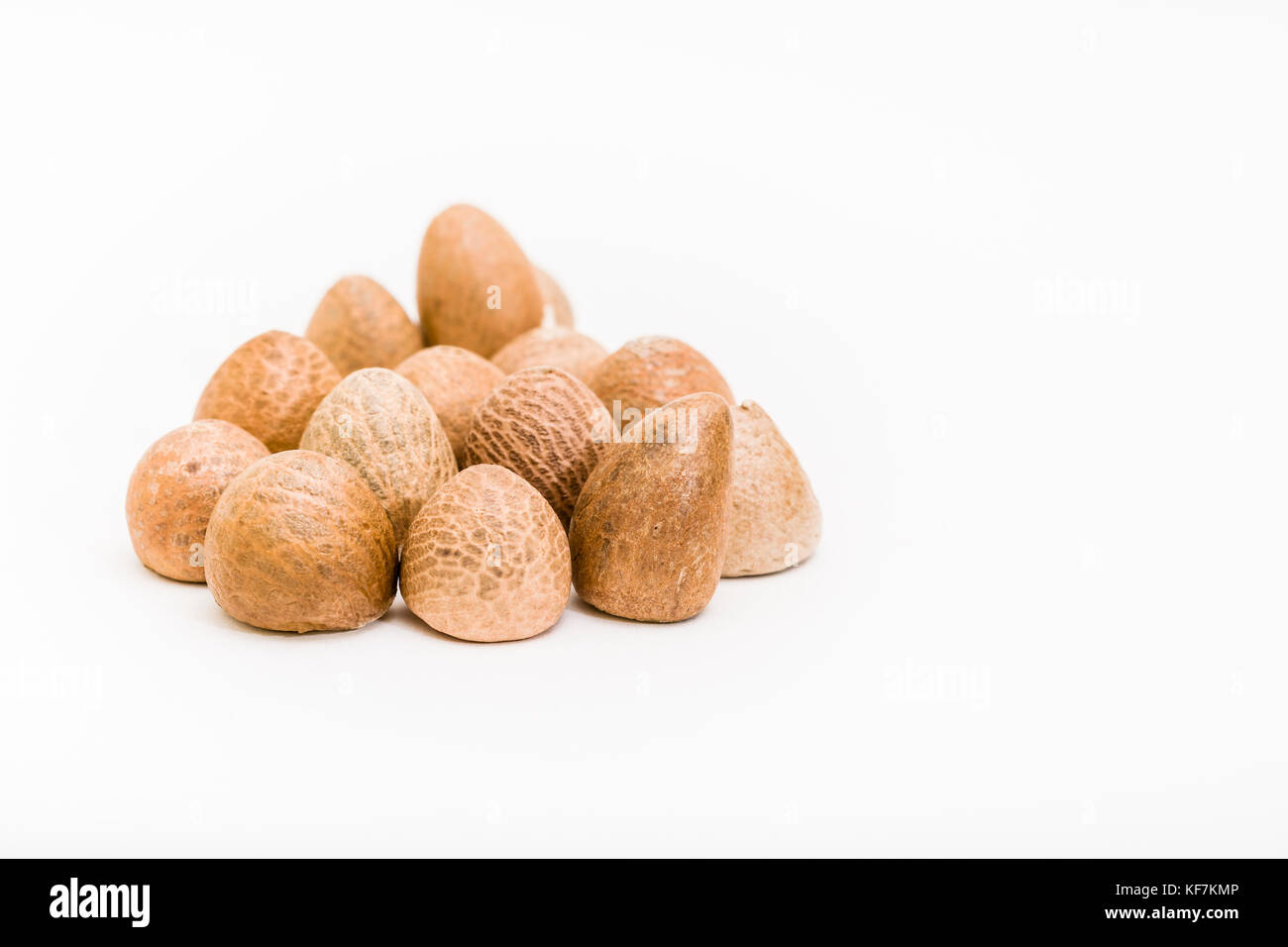 Areca nuts on a white background (Areca catechu) Stock Photo