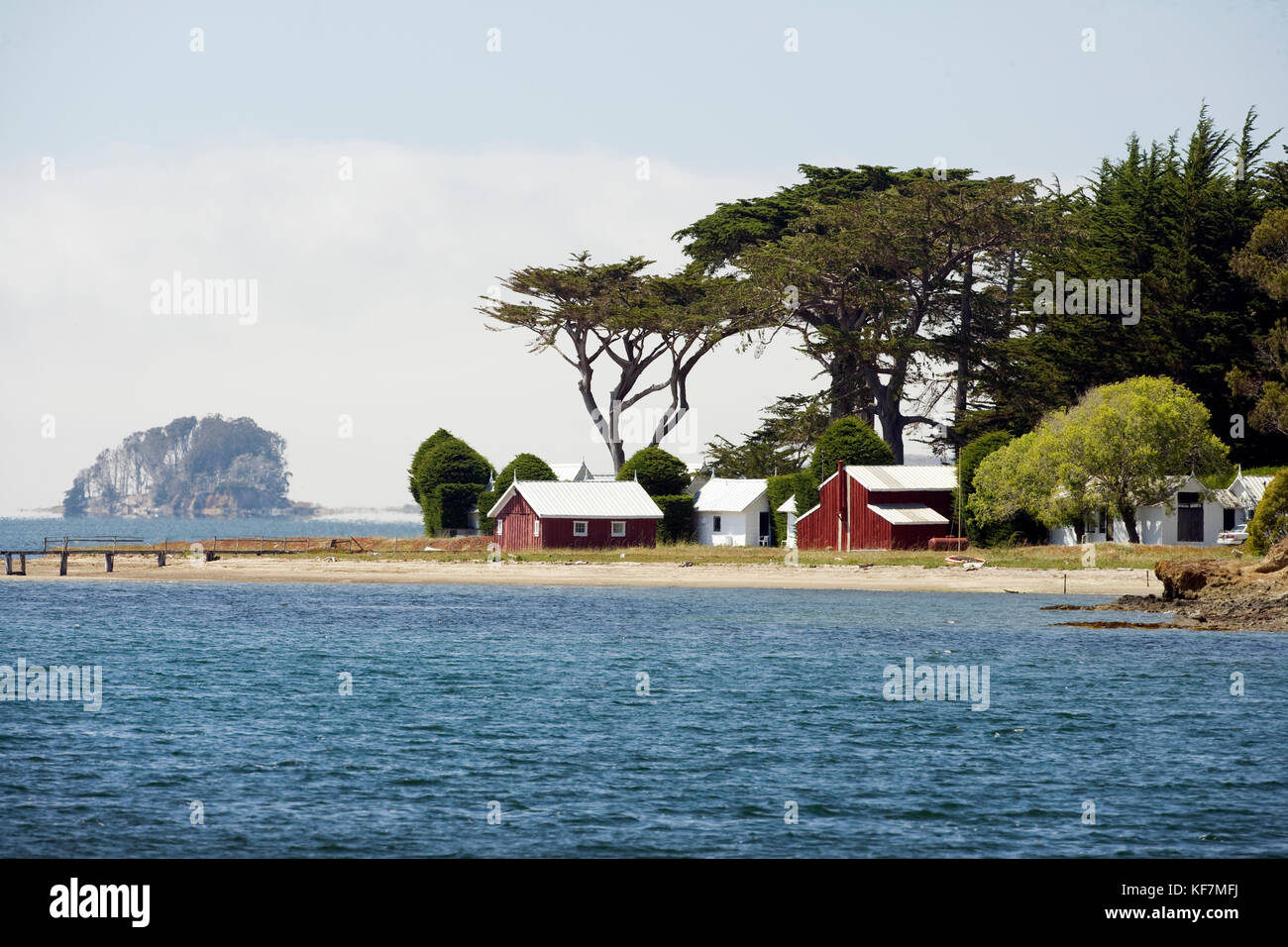 USA, California, farm by Hog Island, Tomales Bay Stock Photo Alamy