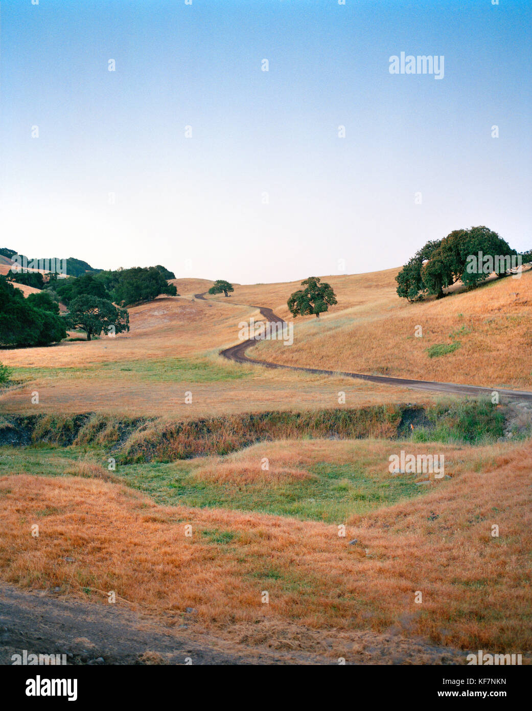 USA, California, Point Reyes Station, oak covered hillside landscape ...