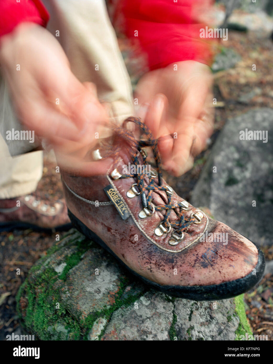 Image showcasing Amazon.com: Xpand No Tie Elastic Boot Laces. Heavy Duty Round Shoelaces ...