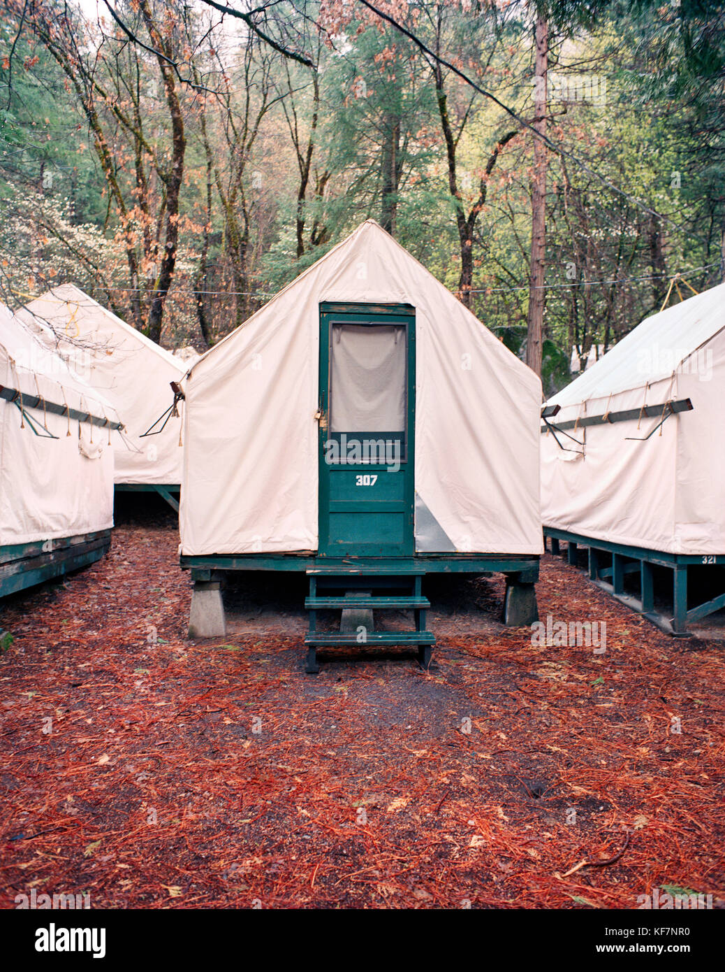 USA, California, Yosemite National Park, Currie Village Campground