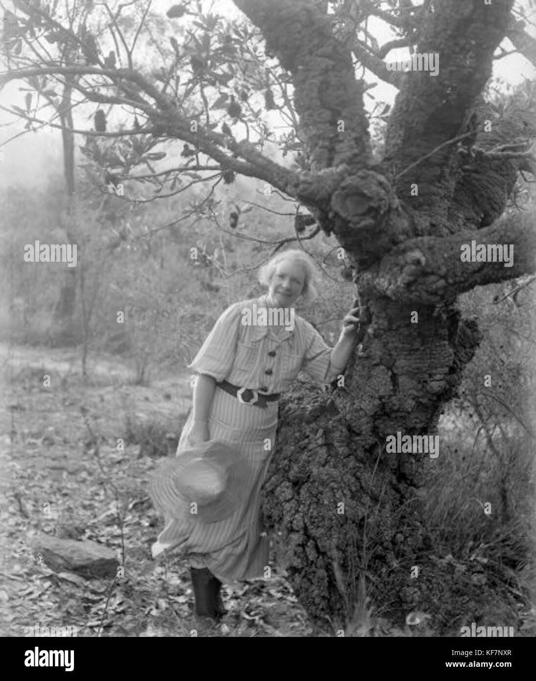 Margaret Preston Berowra 1936 Stock Photo - Alamy