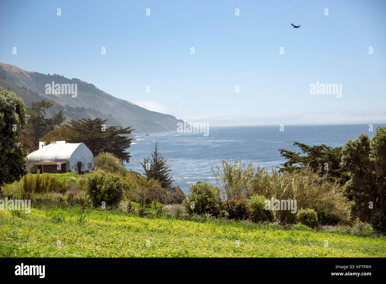 USA, California, Big Sur, Esalen, view at The Farm with the Leonard  Pavillion and the Pacific Ocean in the distance, the Esalen Institute Stock  Photo - Alamy