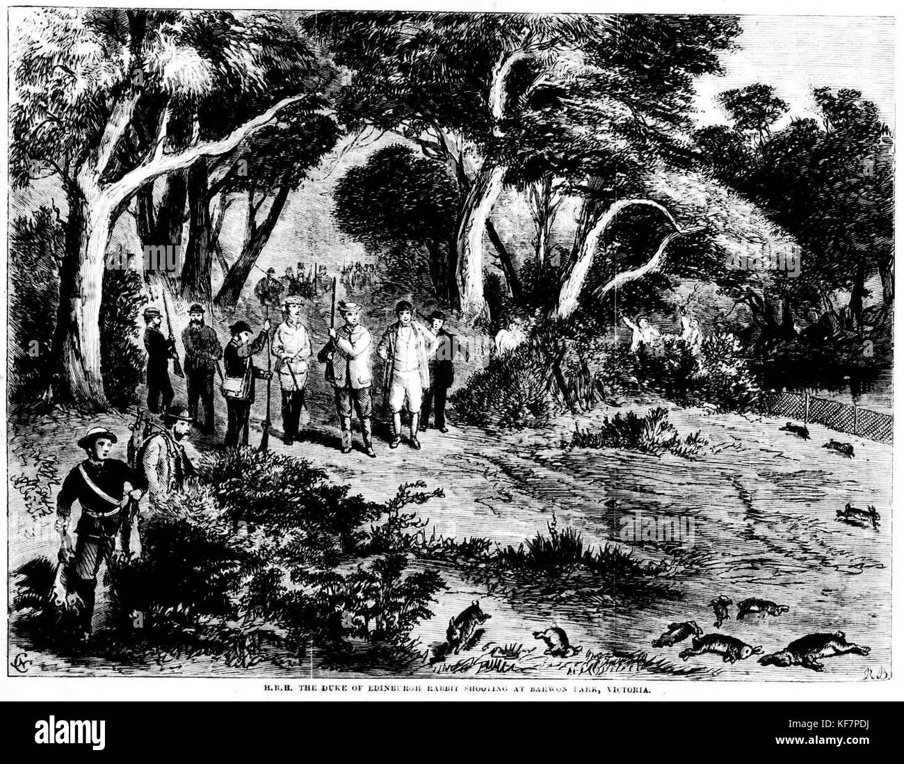 Rabbit shooting at Barwon Park, Victoria, 1860s Stock Photo Alamy