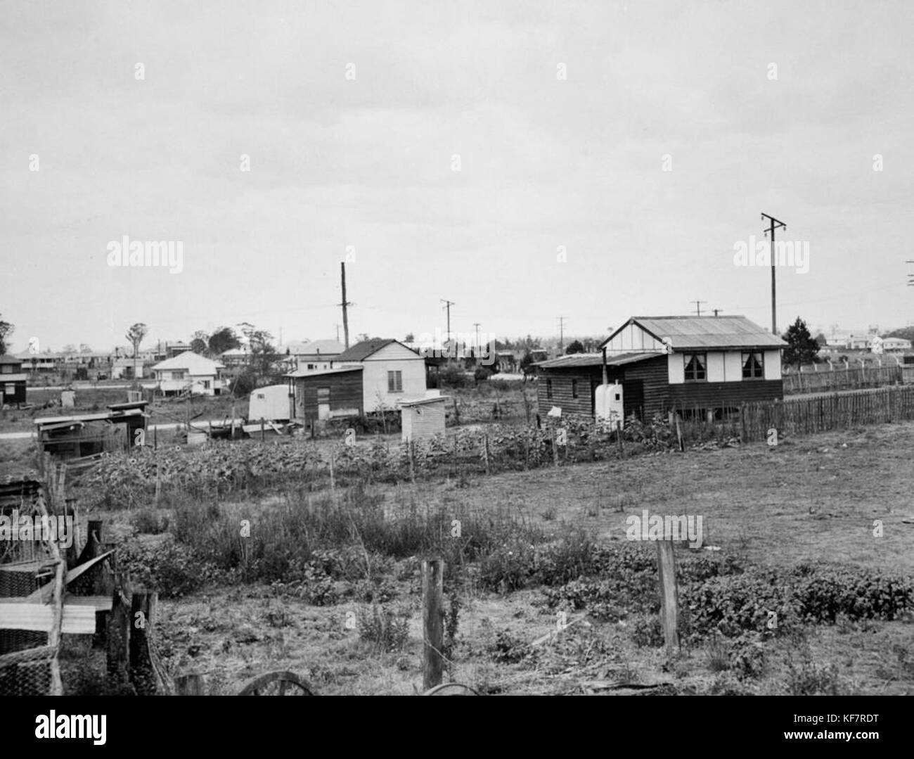1 123864 Part of the area around the suburb of Rocklea, ca. 1950 Stock Photo