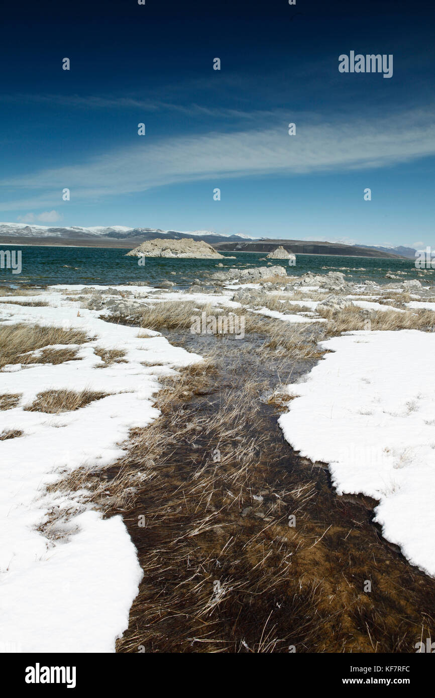 USA, California, Mammoth, the blue and green water at Mono Lake contrasted against the white snow banks Stock Photo