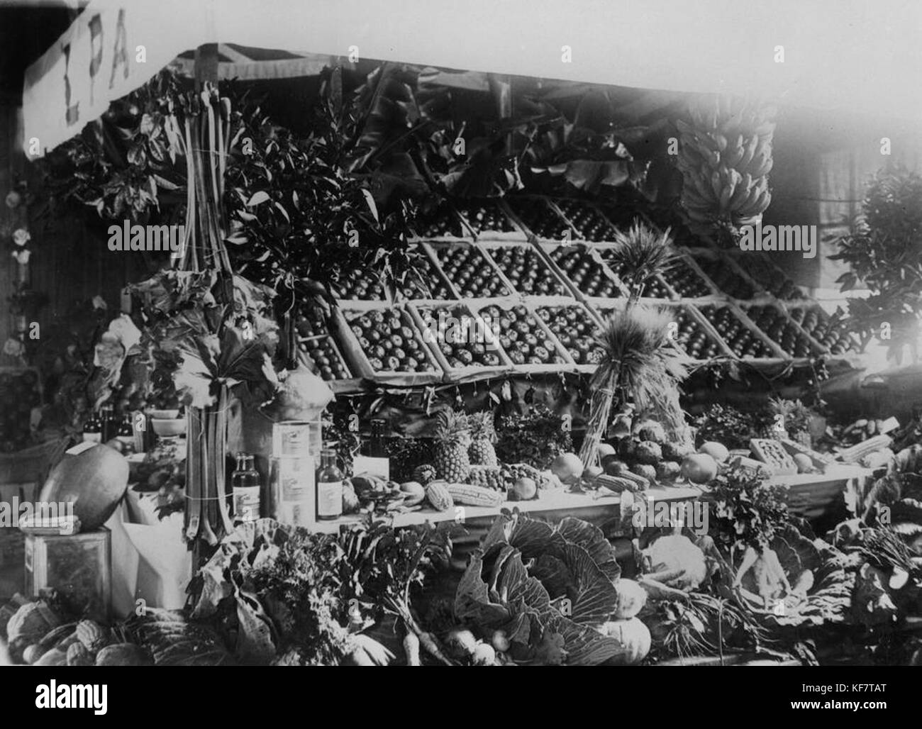 1 108196 Entry in the first Tamborine Mountain Show, 1929 Stock Photo