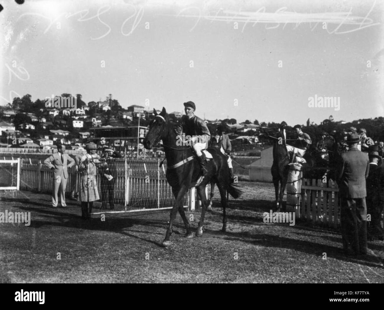 1 104260 Vuna coming back to scale after winning at Albion Park, Brisbane, 1945 Stock Photo