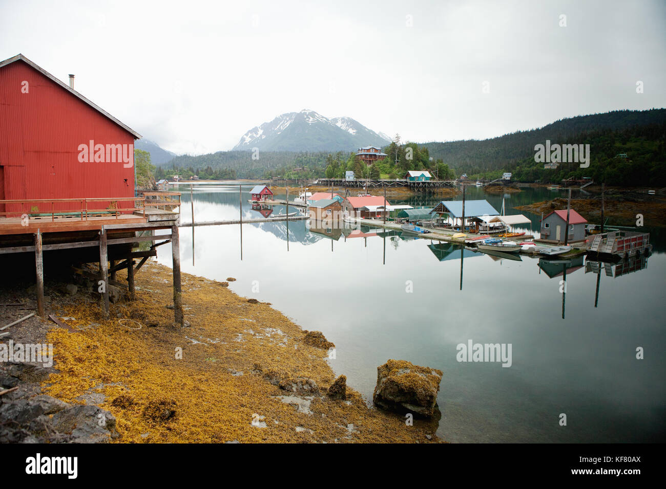 USA, Alaska, Homer, an overall view of Halibut Cove in the evening time