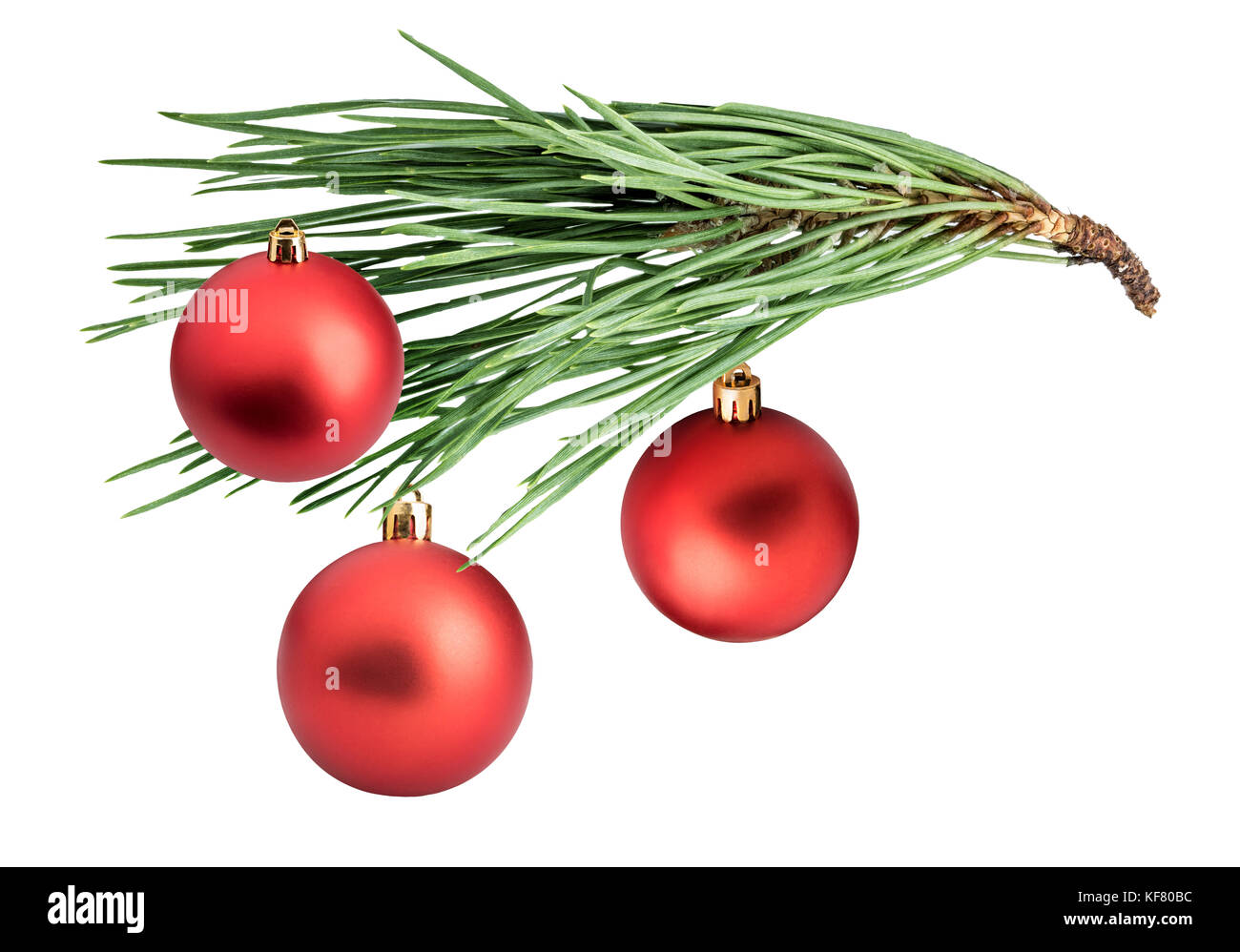 Branch of pine with cones and Christmas balls isolated with clipping ...
