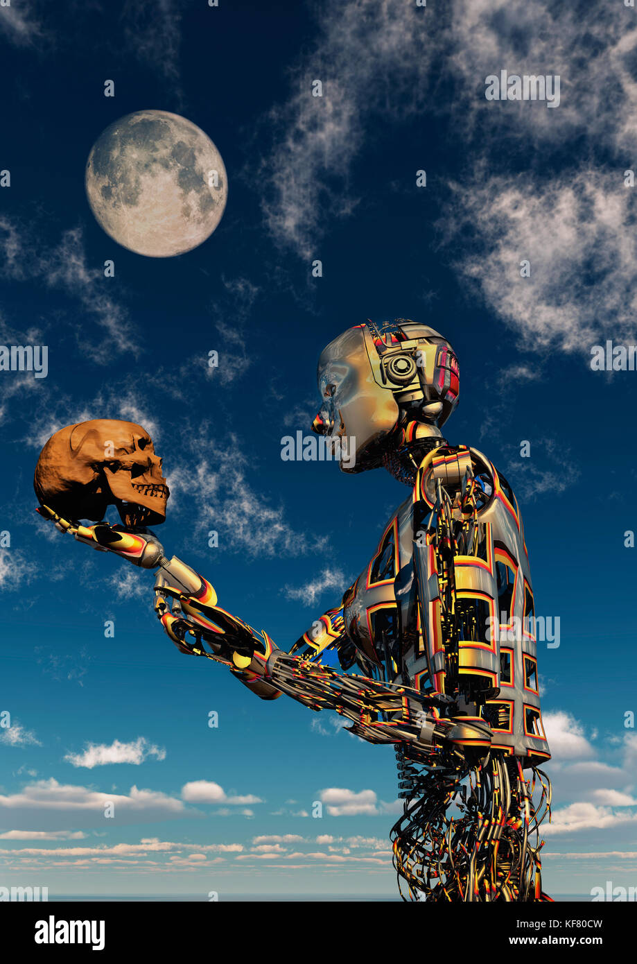 Human Evolution Stock Photo