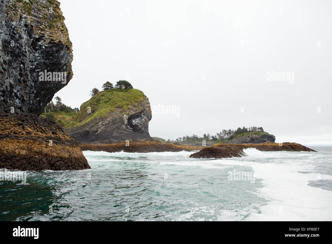USA, Alaska, Sitka, Saint Lazaria island, Sitka Sound Stock Photo