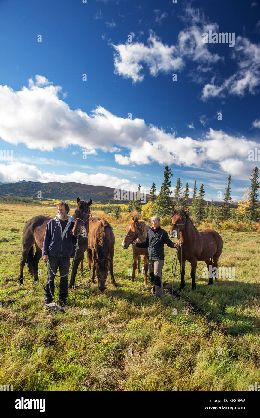 USA, Alaska, Denali, Kreuzung Park, North of Healy, Horse Pack trip