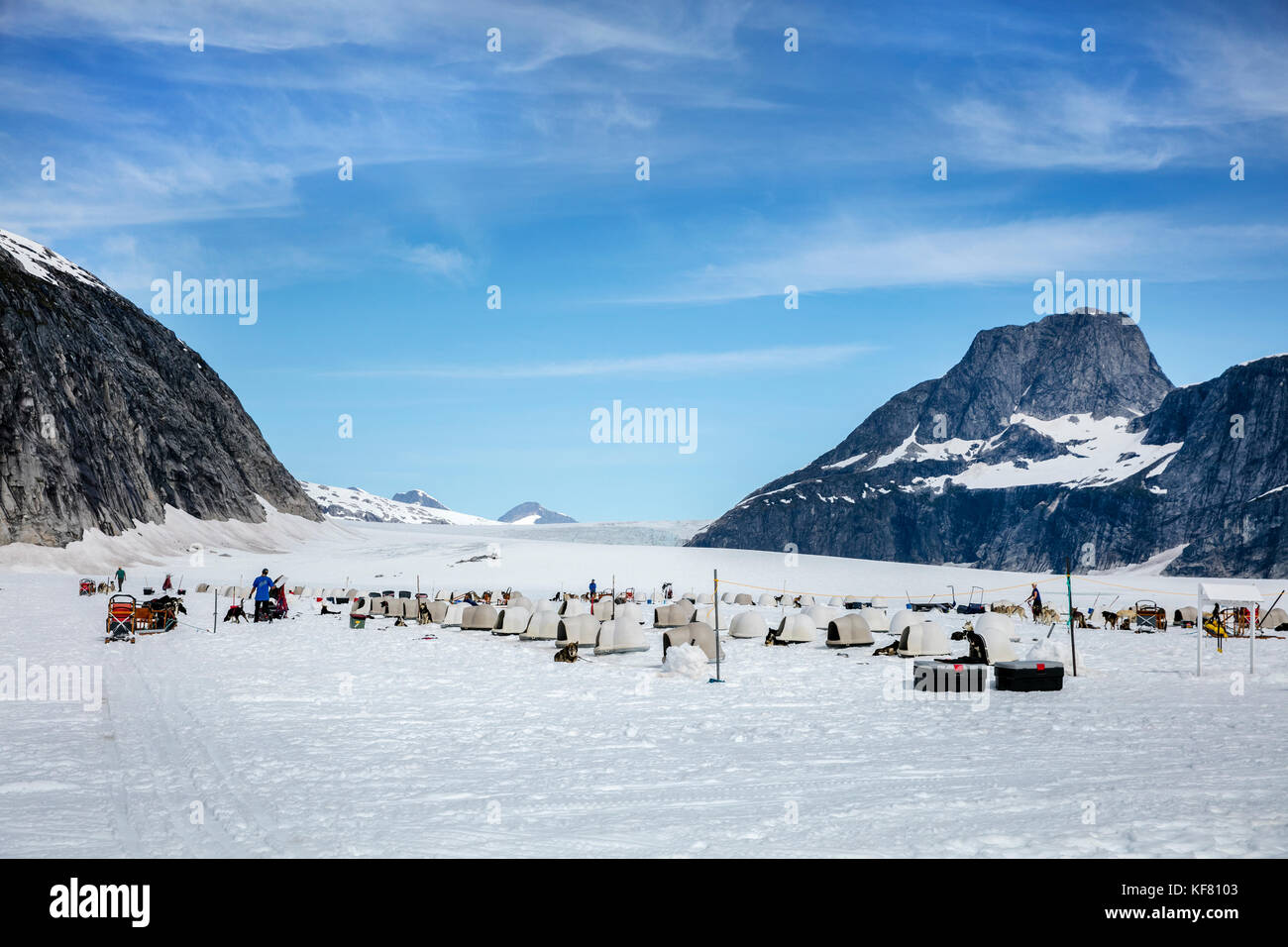 USA, Alaska, Juneau, Helicopter Dogsled Tour flies you over the Taku
