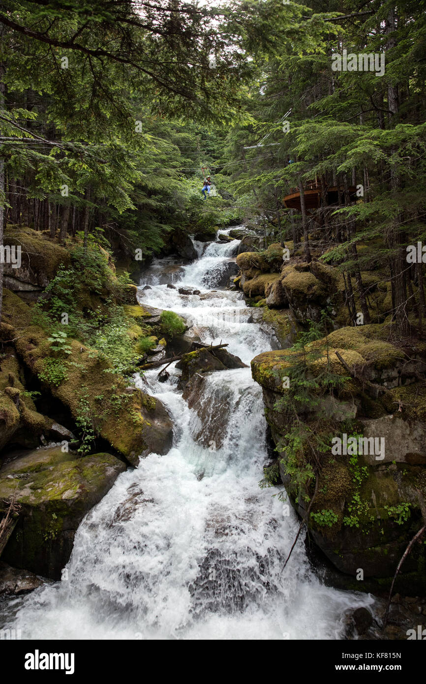 USA Alaska, Sitka, the Grizzly Falls Zipline Expedition in the area of