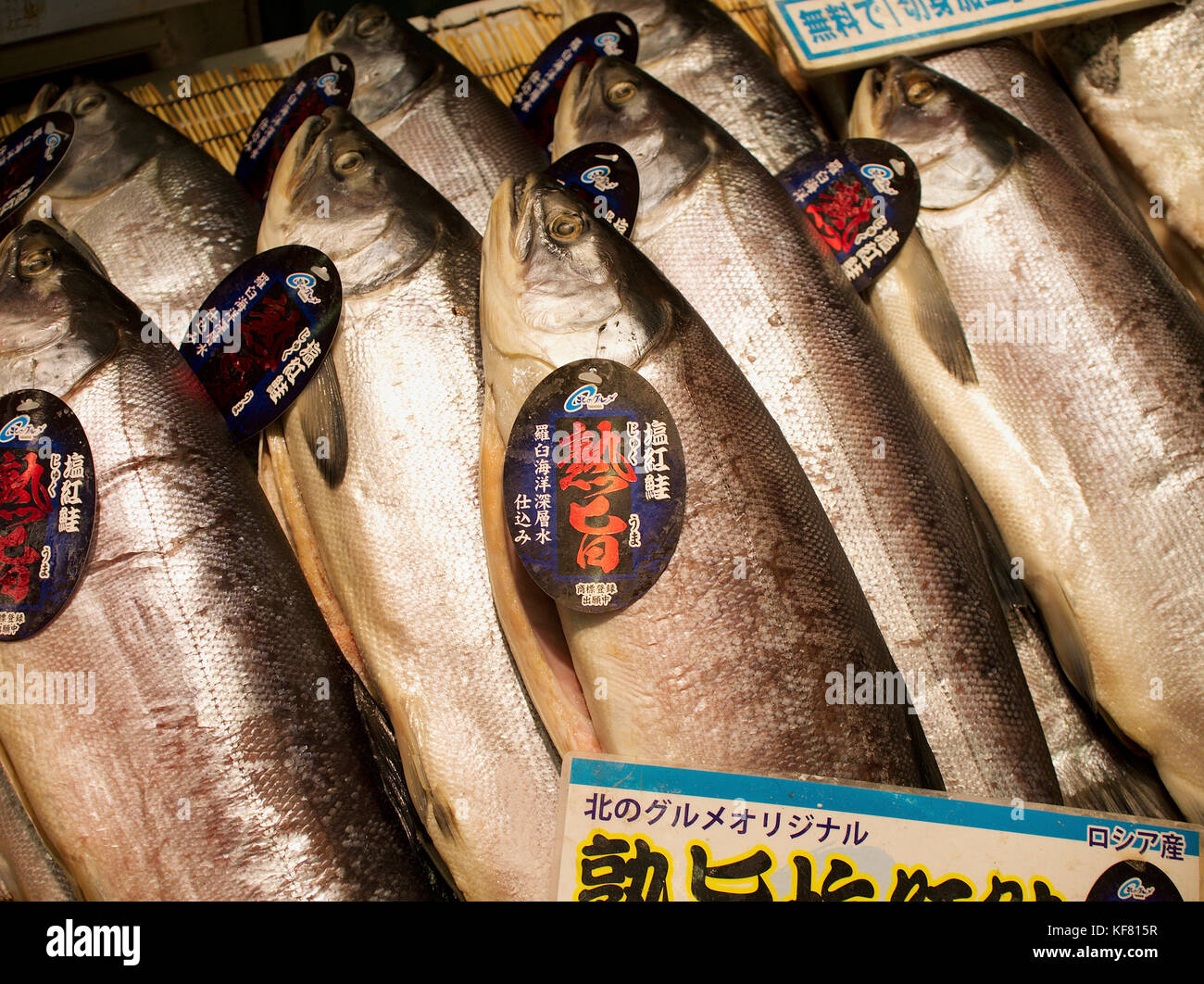 Salted Dried Whole Salmon for sale at a Japanese Fish Market in Sapporo