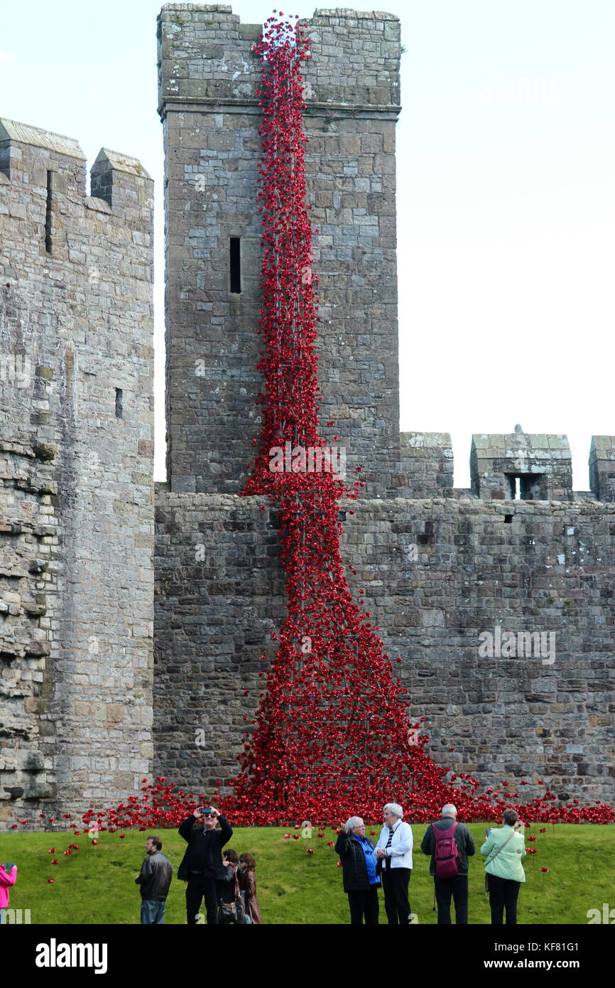 Weep window installation at Caerarfon castle Wales, display ceramic poppies war memorial Stock Photo