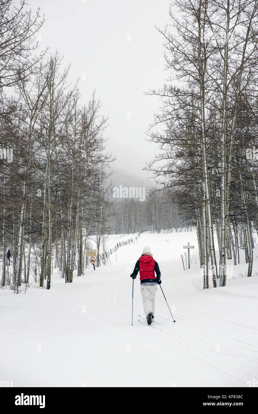 Walking with cross country ski poles ski poles hires stock photography