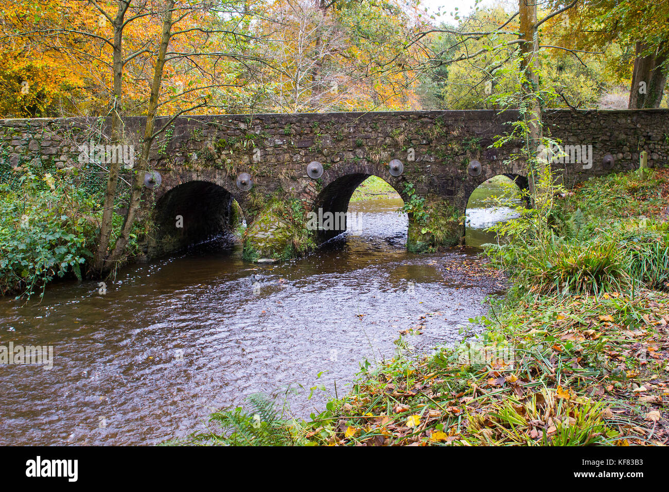 The beautiful Minnowburn stone bridge near Shaw's Bridge on the outskirts of South Belfast in Northern Ireland. Taken against a backdrop of glorious a Stock Photo