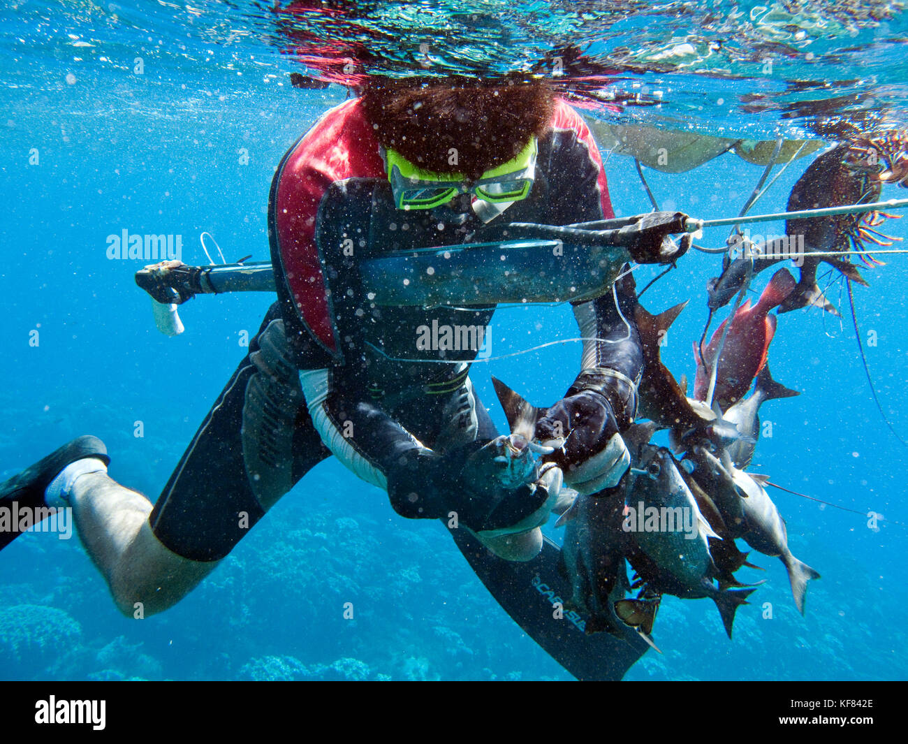 Spearfishing hi-res stock photography and images - Page 15 - Alamy