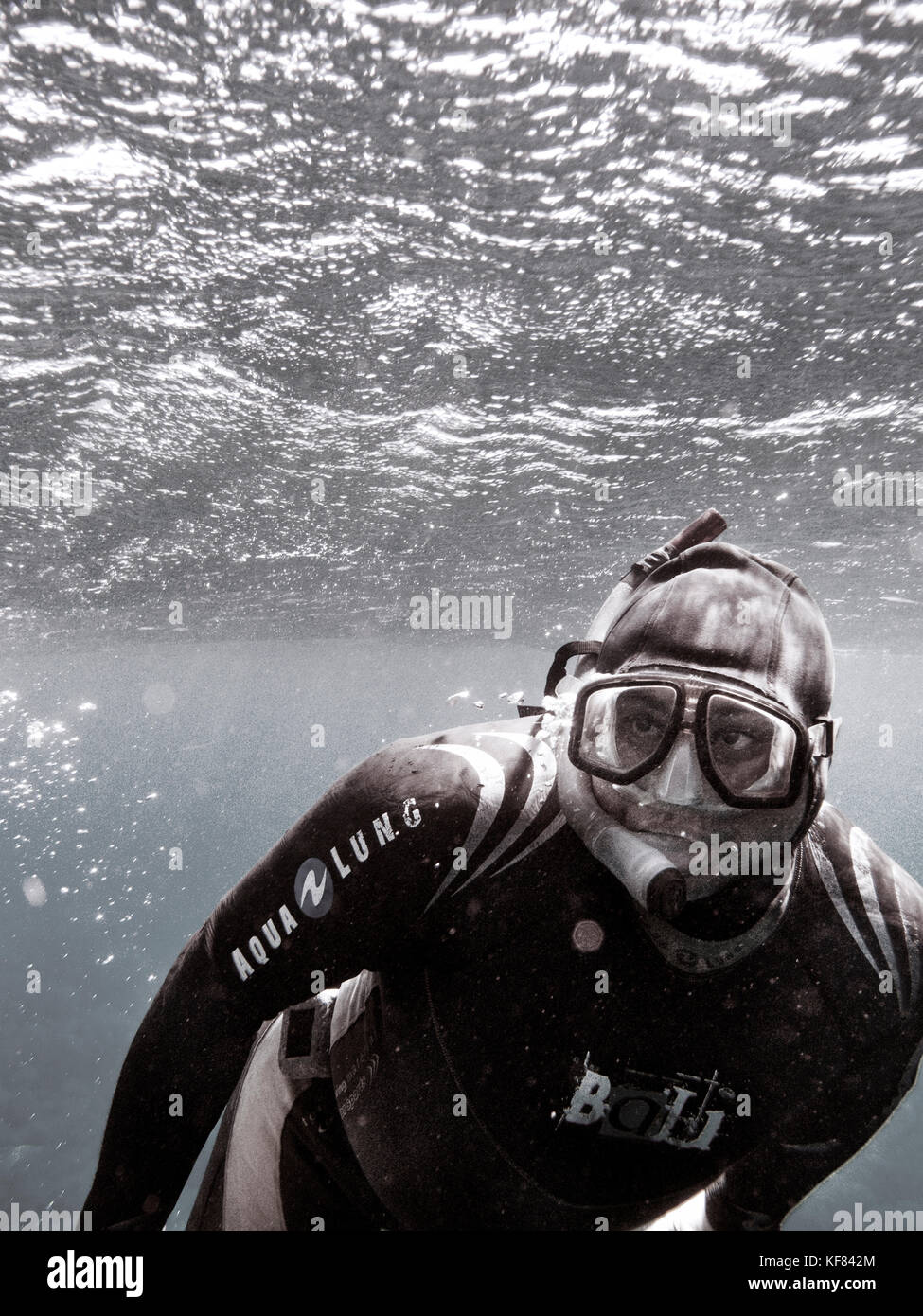 Spearfishing hi-res stock photography and images - Page 8 - Alamy