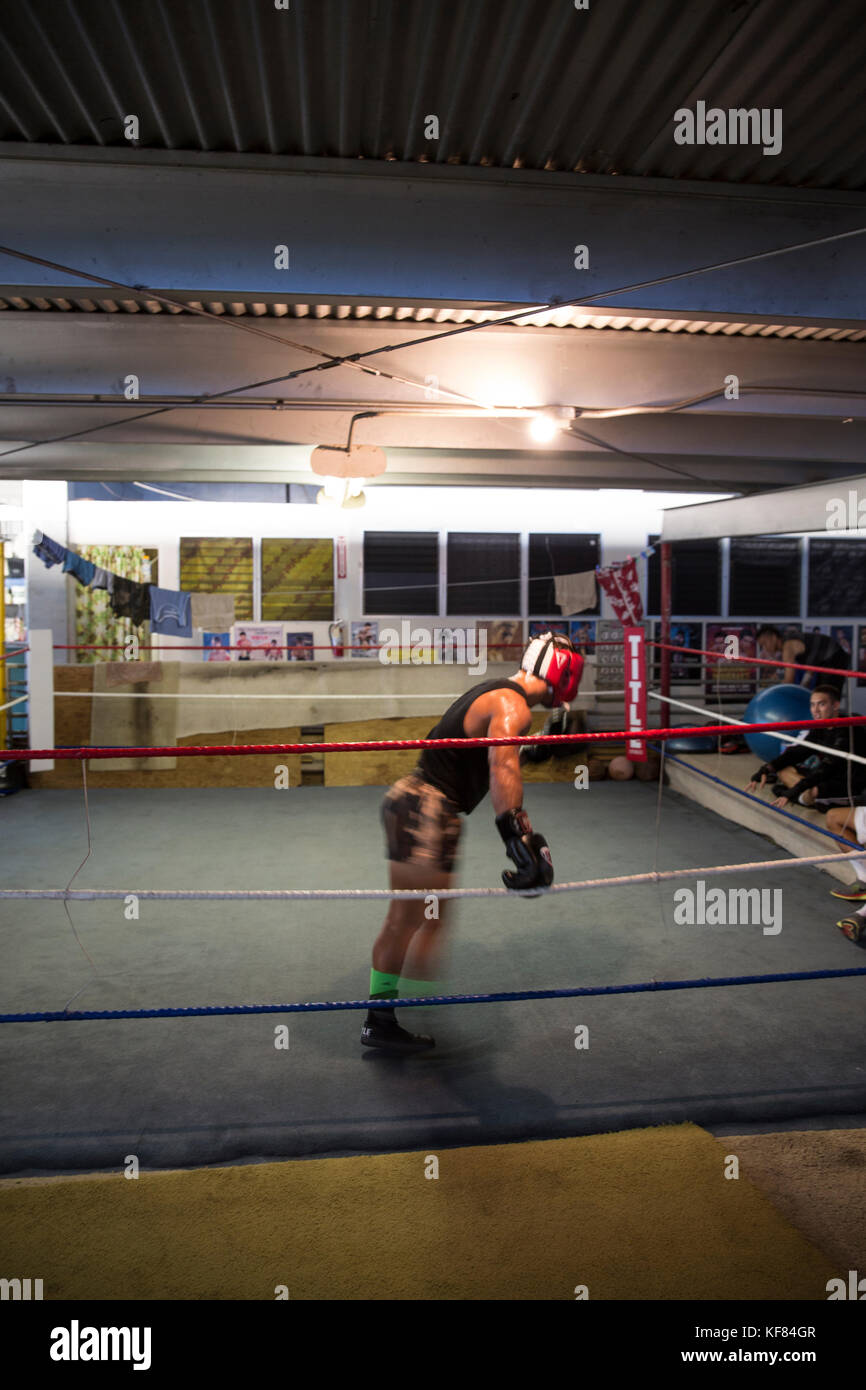 USA, Oahu, Hawaii, MMA Mixed Martial Arts Ultimate fighter Lowen Tynanes at his training gym in Honolulu Stock Photo