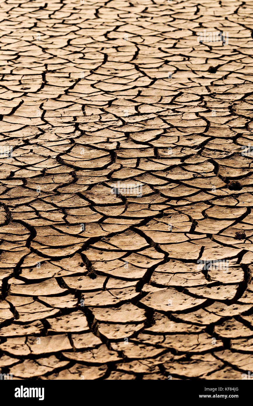 Cracks in drought affected earth Stock Photo