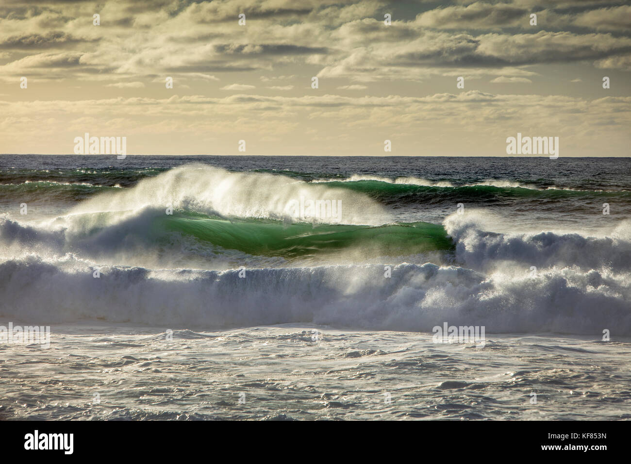 HAWAII, Oahu, North Shore, Big Wave surfer Jamie O'Brien surfing at