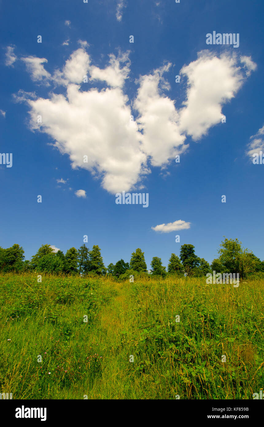 V shaped cumulus cloud formation over a field in Kent, England Stock Photo