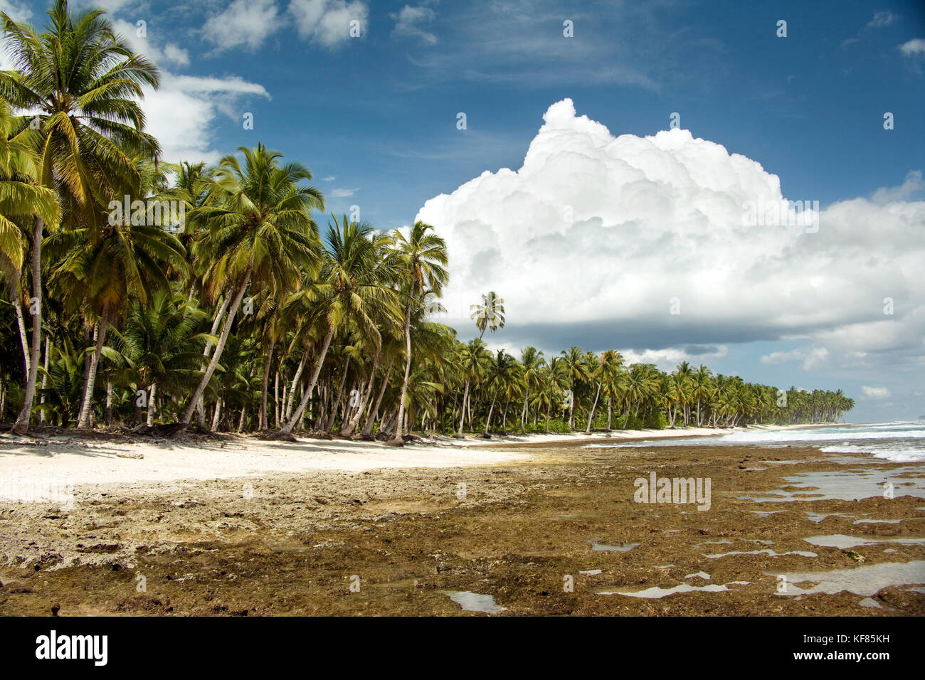 INDONESIA, Mentawai Islands, palm trees with island against cloudy sky Stock Photo