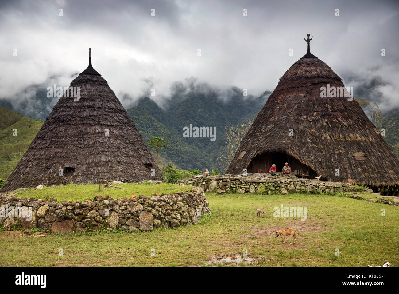 INDONESIA, Flores, women sit in front of their traditional thatched home in Wae Rebo Village, the home is treaditionally referred to as Mbaru Niang Stock Photo