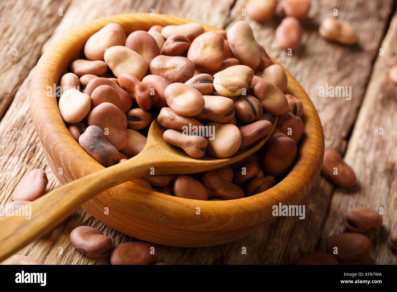 Dried broad beans hires stock photography and images Alamy