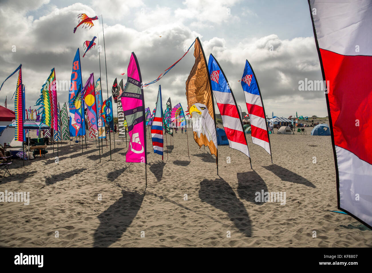 USA, Washington State, Long Beach Peninsula, stationary kites at the International Kite Festival