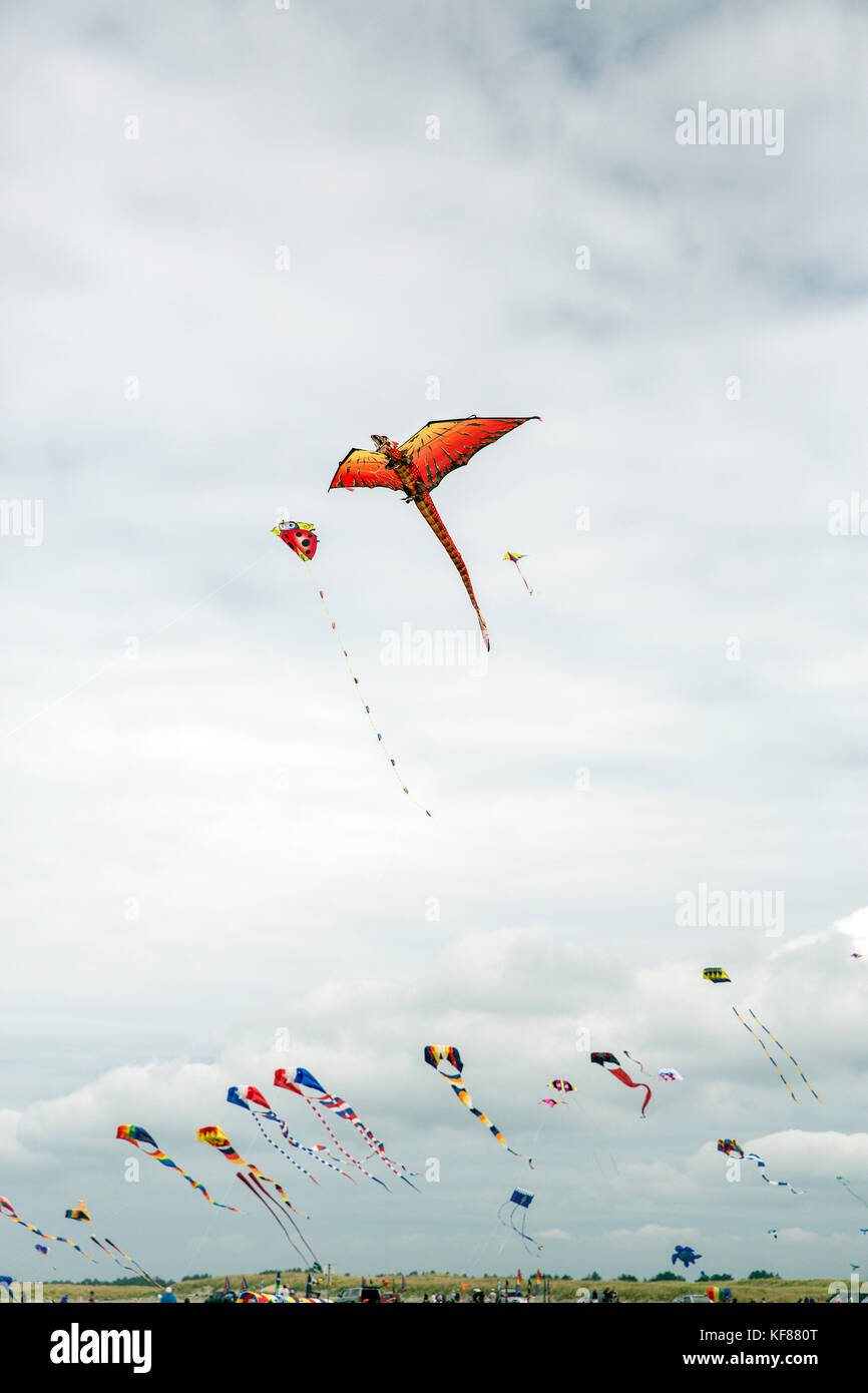 USA, Washington State, Long Beach Peninsula, kites fly in the wind at