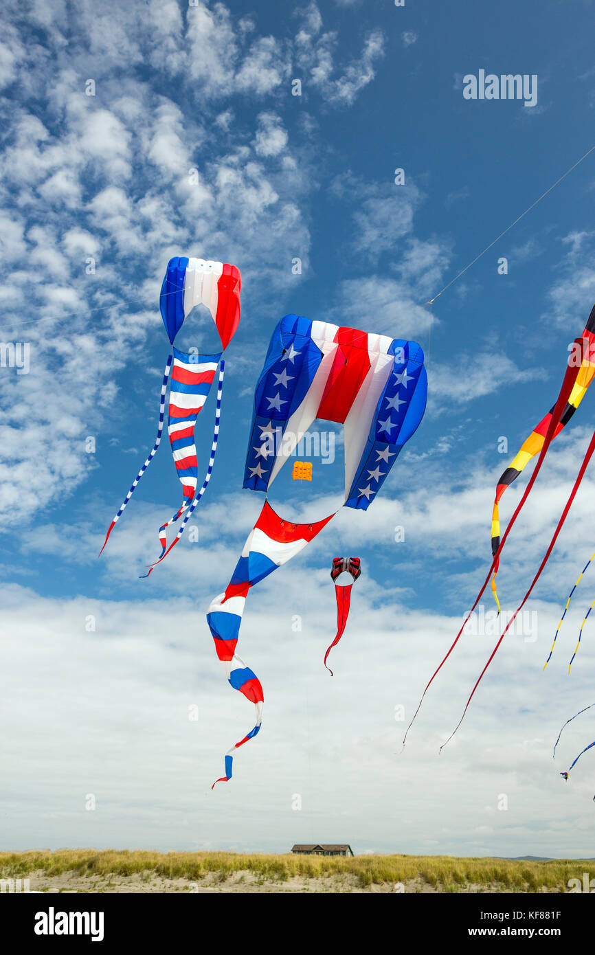 Red kite below hires stock photography and images Alamy