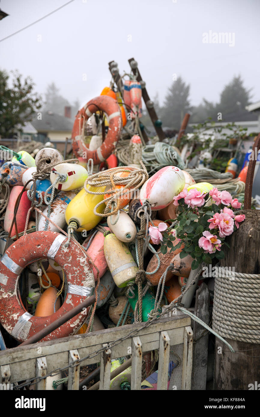 USA, Washington State, Long Beach Peninsula, International Kite