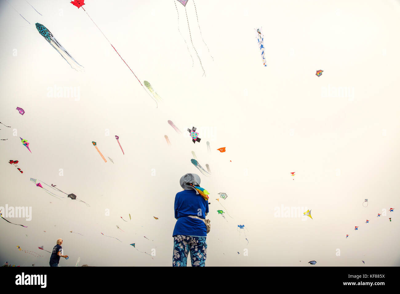 International kite festival usa hi res stock photography and images Alamy