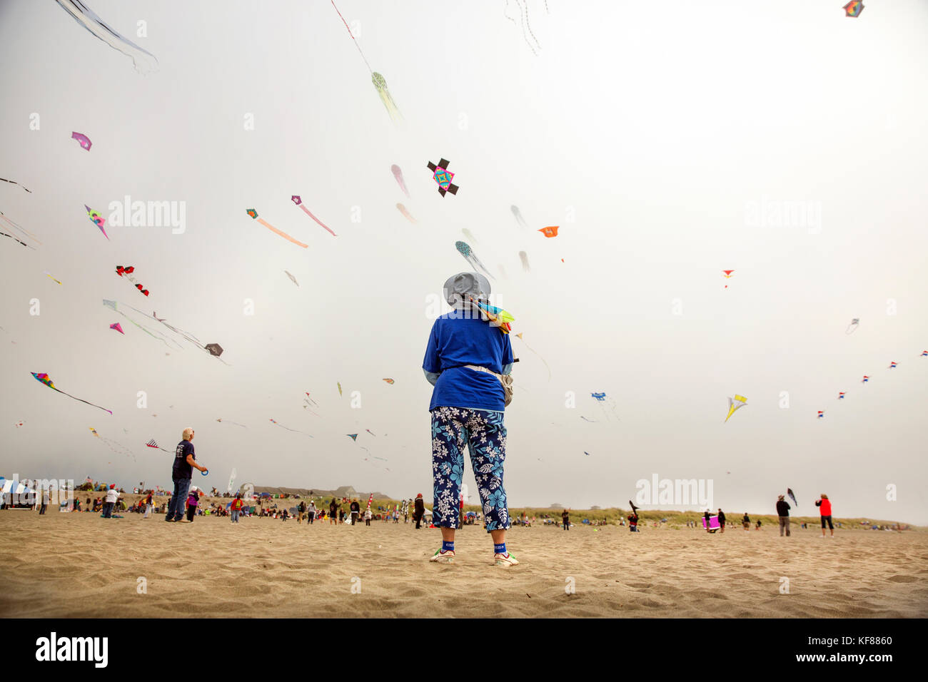USA, Washington State, Long Beach Peninsula, International Kite