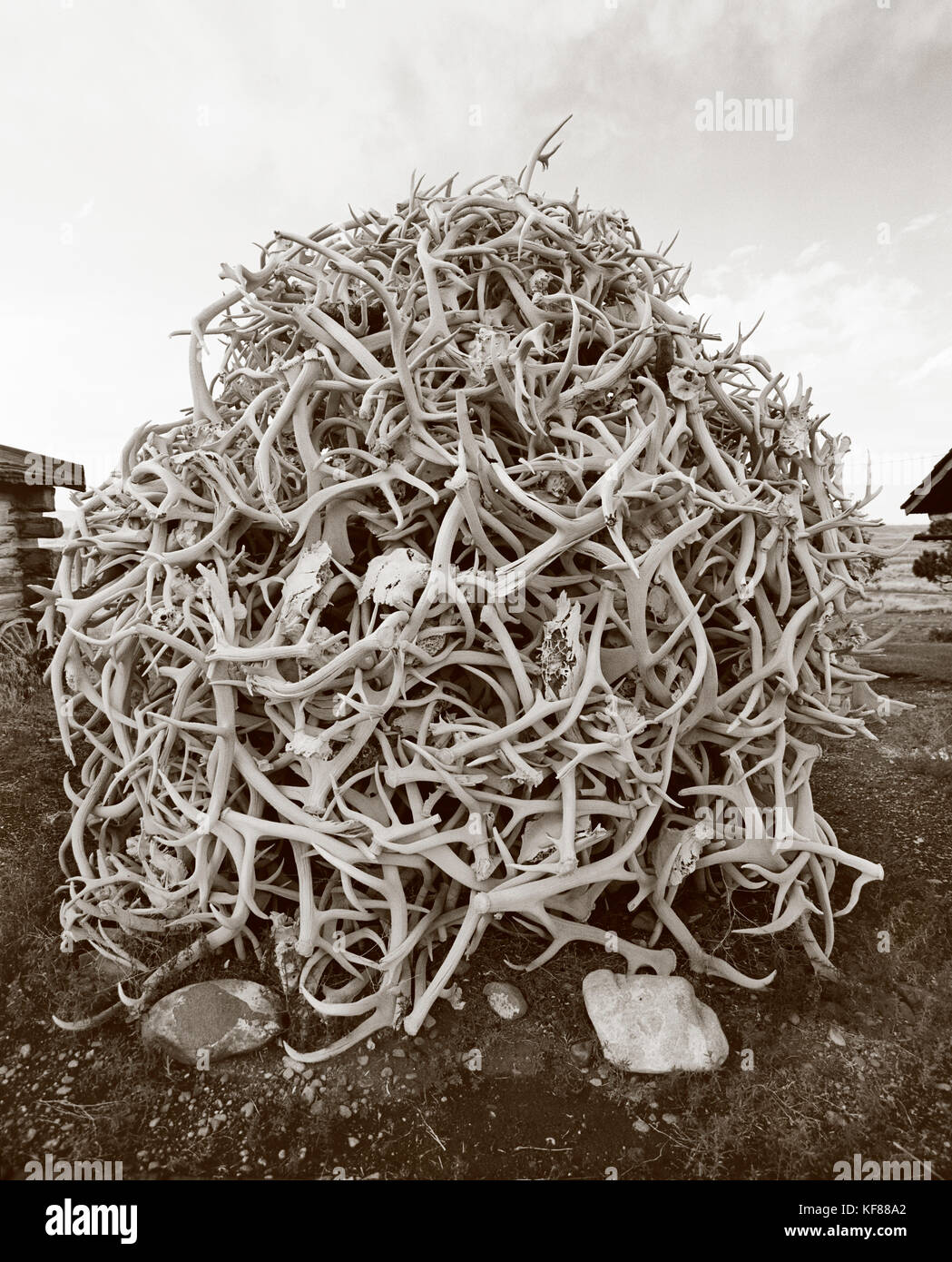 USA, Wyoming, large pile of elk horns, Old Trail Town, Cody (B&W Stock