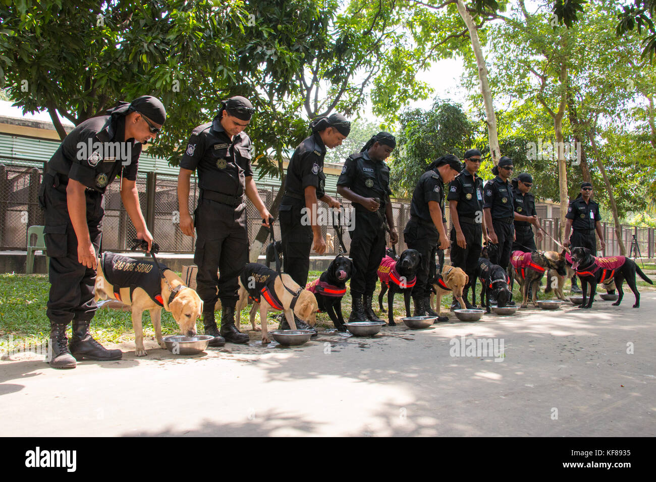 Dog Squad is amazing part for prevent terrorism, drug smuggling, bomb finding, caught terror and many more activities Stock Photo
