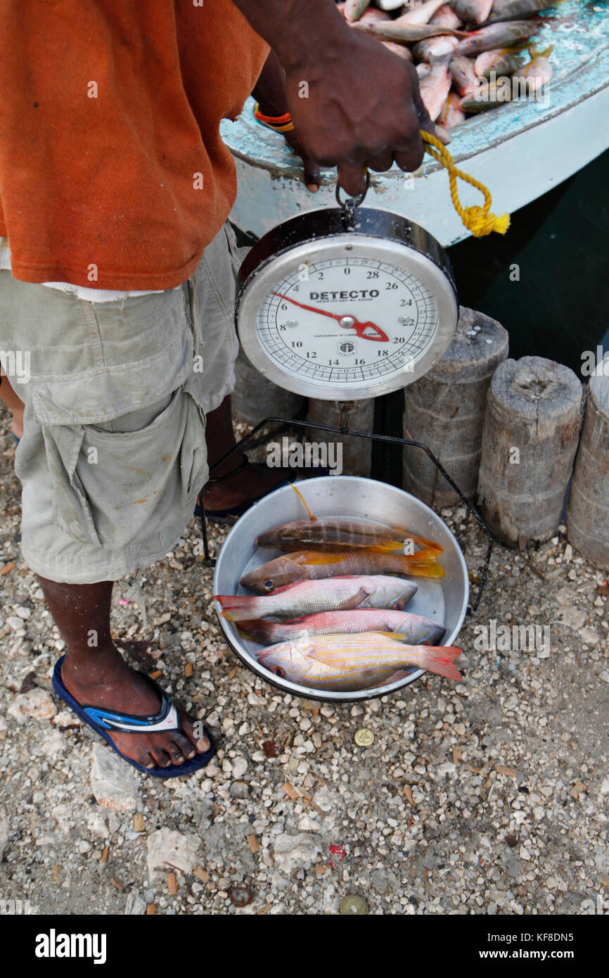 Southside fish market hires stock photography and images Alamy