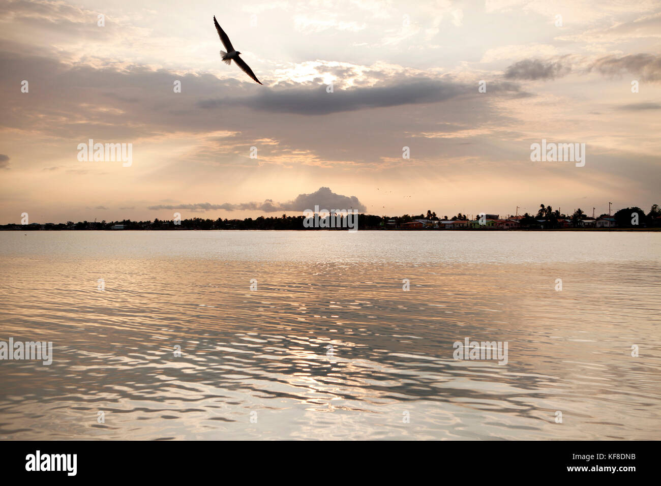 Birds Isle Restaurant High Resolution Stock Photography and Images Alamy