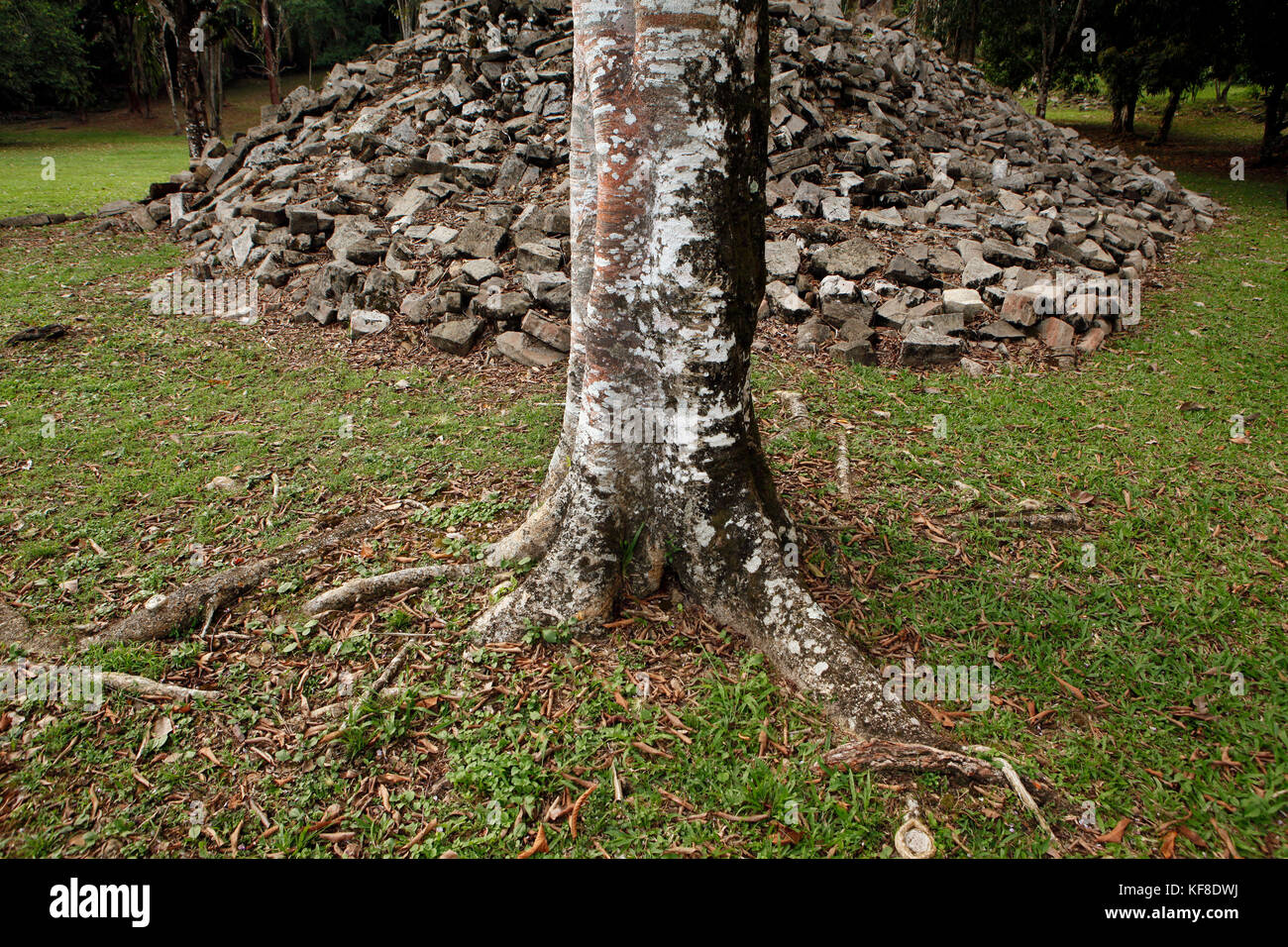 BELIZE, Punta Gorda, Toledo, the ruins at Lubantuun Stock Photo