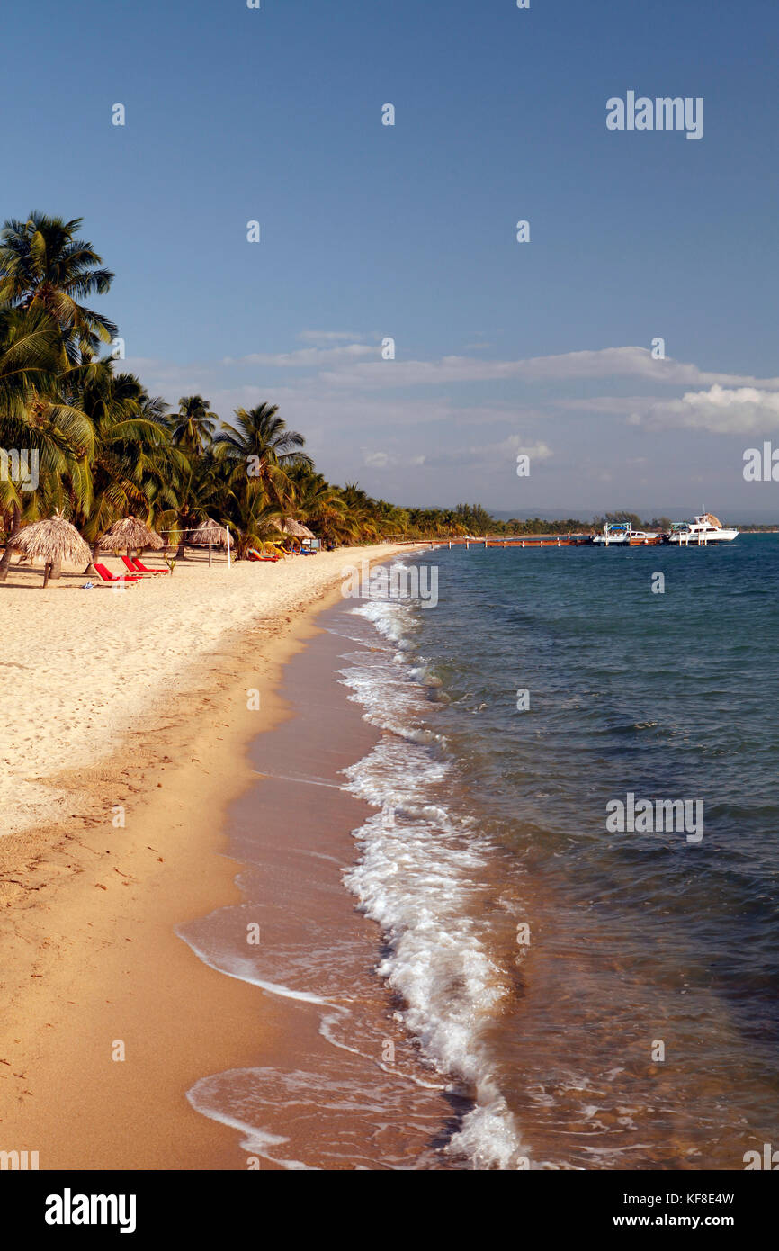 BELIZE, Hopkins, the beach at Jaguar Reef Lodge Stock Photo Alamy