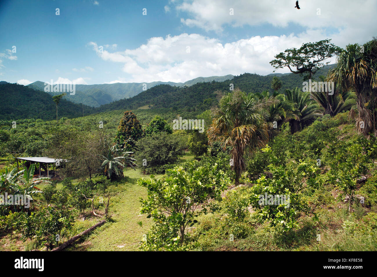 Highway Vignette High Resolution Stock Photography and Images - Alamy