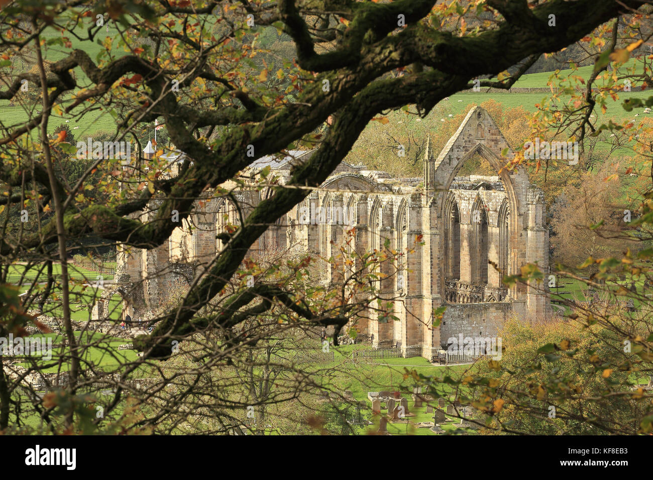 Bolton Abbey (aka Bolton Priory) a ruined abbey in the Yorkshire Dales, North Yorkshire, England Stock Photo